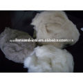 combed sheep wool,sheep cashmere fiber,sheep wool fiber